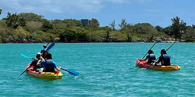 Kayaking trip dambre island half (6)
